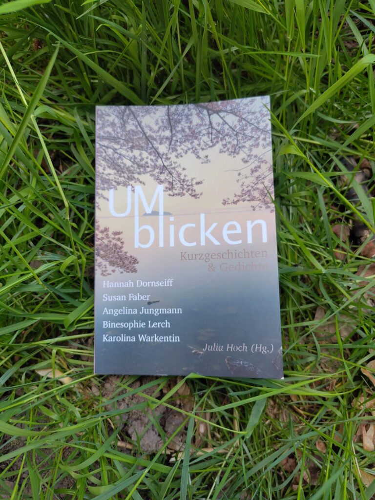 Das Buch "Umblicken" liegt auf einer Wiese.
