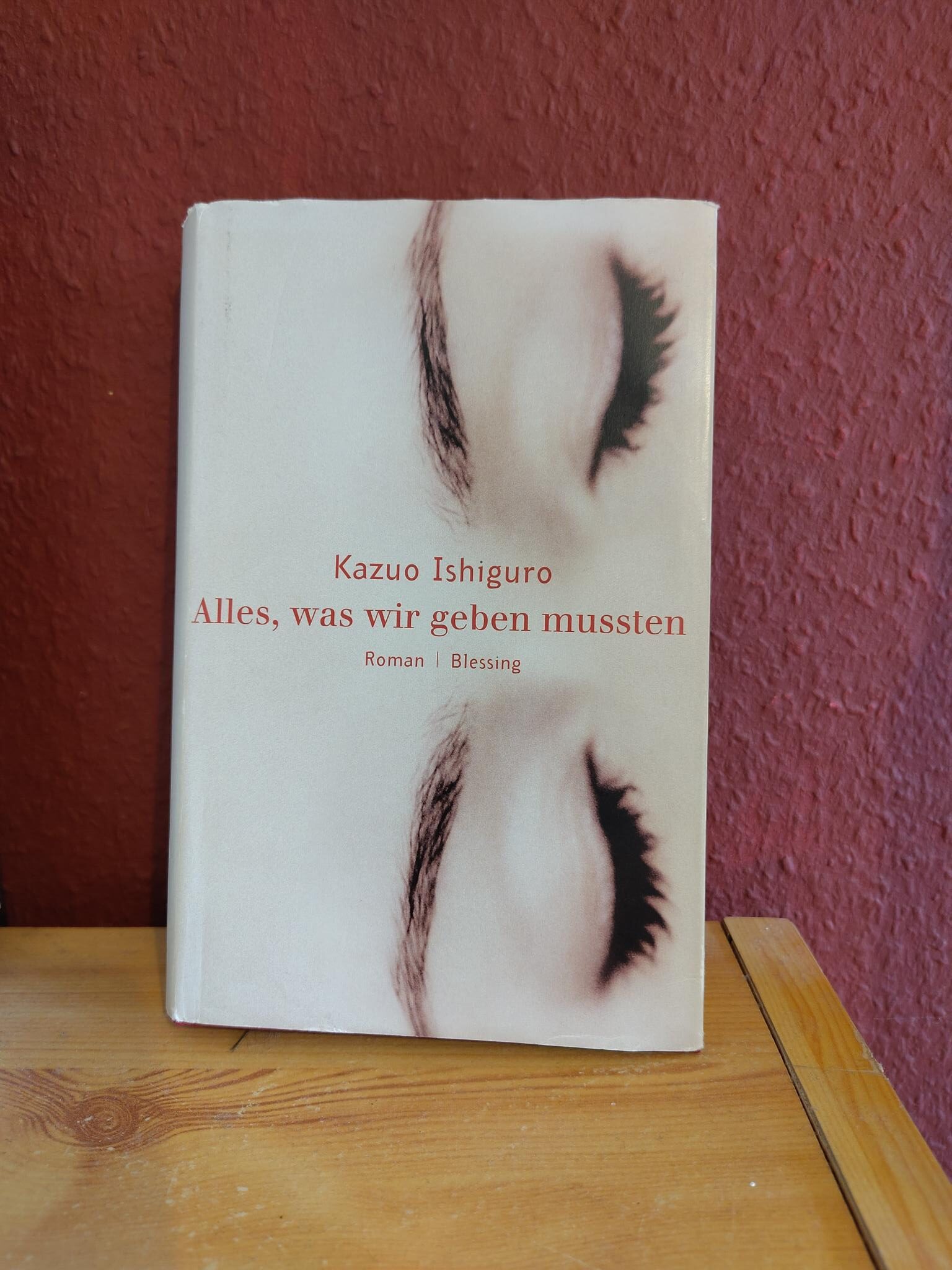 Foto vom Buch "Alles, was wir geben mussten"