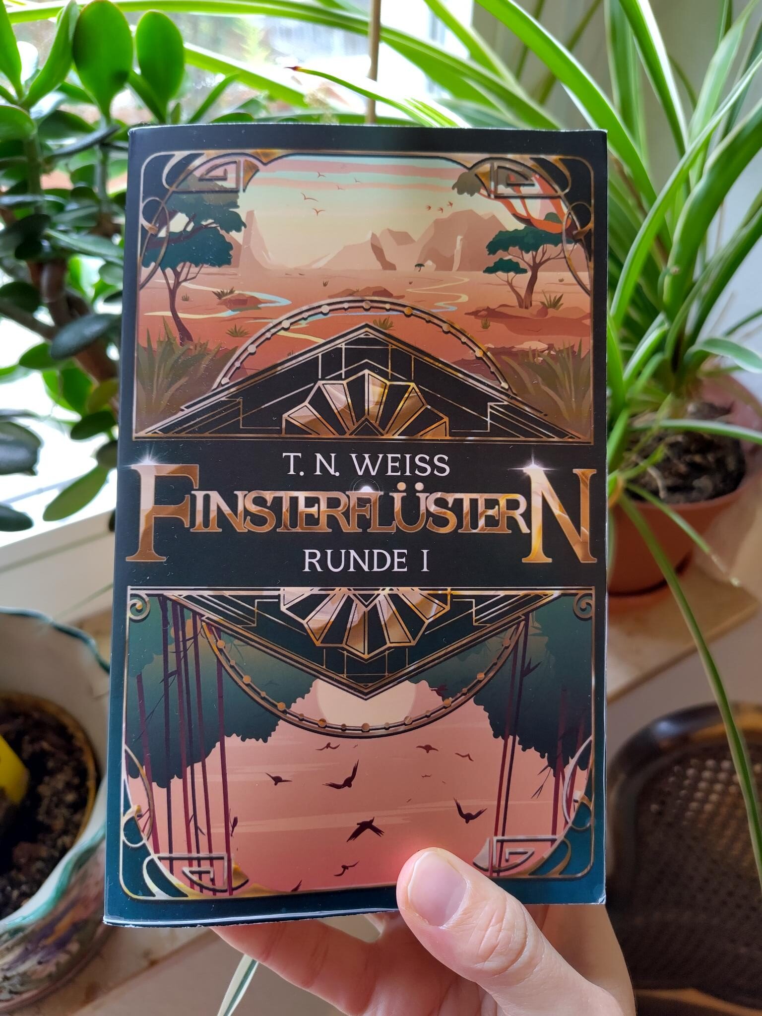 Foto vom Buch "Finsterflüstern"