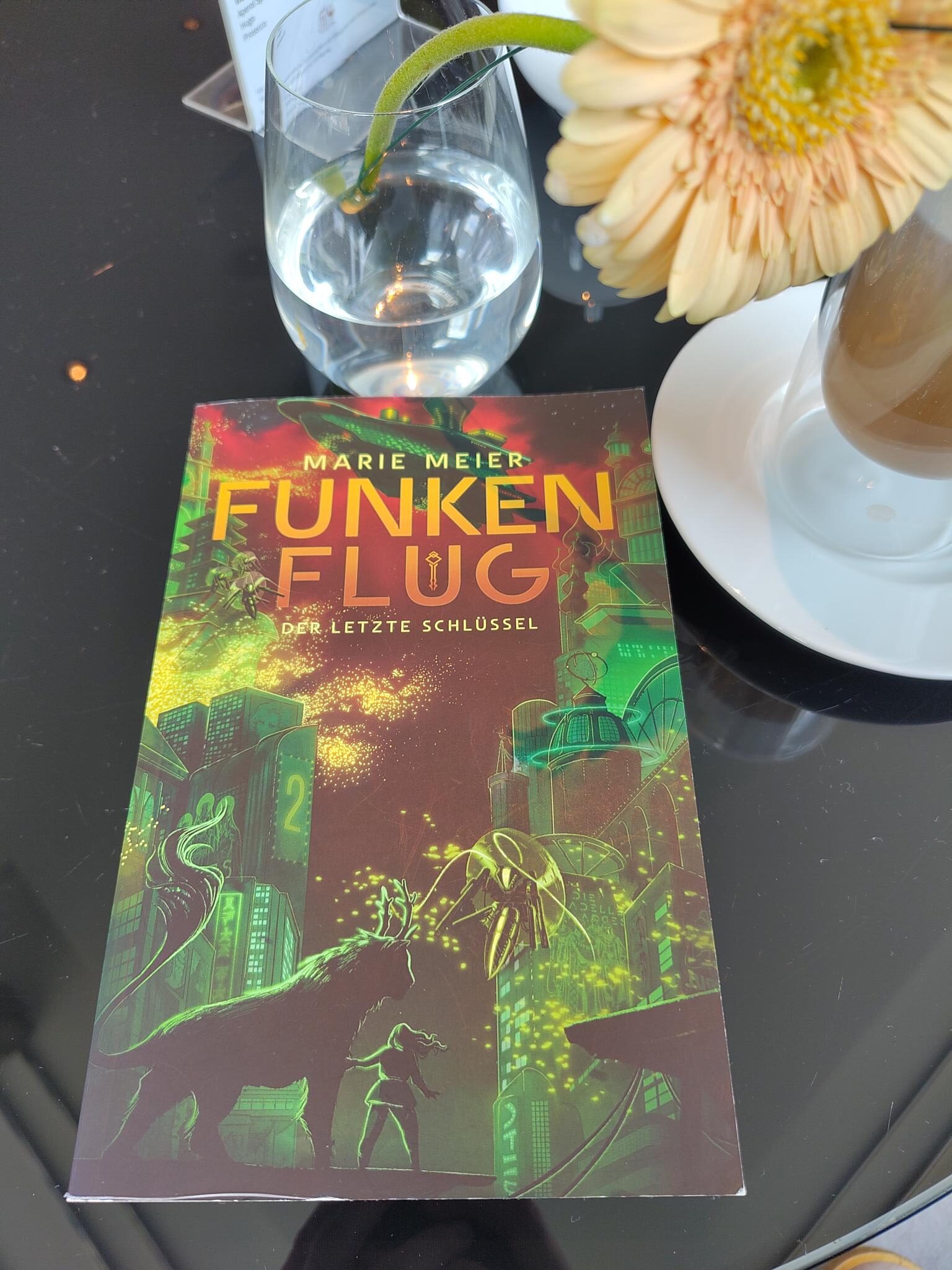 Foto vom Buch "Funkenflug" neben einer Blumenvase